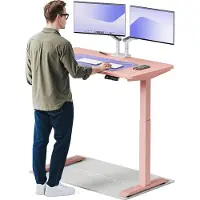 Desktronic HomeOne Elektrisch höhenverstellbarer Schreibtisch 120x60cm Rosa/Rosa mit Memory-Funktion, Anti-Kollisions Technologie, USB-A und USB-C-Ladeanschlüssen