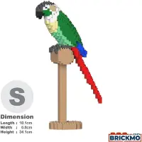 Jekca Bricks Green Cheek Conure 01S-M02 ST19MA20-M02