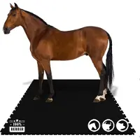 Floordirekt Puzzle-Stallmatte Pontiac aus Gummi 122x182 cm Zweiseitiges Interlocking