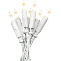 Star Trading P-LED Indoor