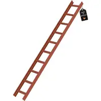 Proregal Dachleiter Rotbraun 10 Sprossen
