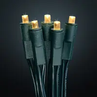 Hellum Lichterkette-LED Mini Innen klar 20-tlg; 563214