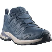 Salomon Xa Pro 3d V9 Gore-tex Trailrunning-schuhe