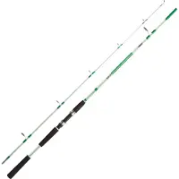 Jenzi Angelrute Solid Pro 30-80g 2,40m