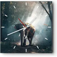 ARTTOR Wanduhr - Quadrat - Glasuhr - elefant natur - 40x40cm - Schleichendes Uhrwerk - Lautlos - zum Aufhängen bereit - Dekoration Modern - Wanddekoration aus Glas - C3AC40x40-3972