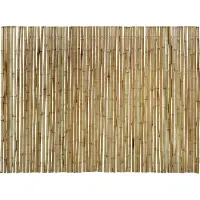 Floraworld Sichtschutz Bambus Gala 300 x 90 cm natur