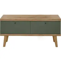 Lomadox Wohnzimmer TV-Lowboard, 107cm, in Eiche mit grün AVEZZANO-61 Modern