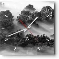 ARTTOR Wanduhr - Quadrat - Glasuhr - Schwarzweiß Bäume Nebel - 40x40cm - Schleichendes Uhrwerk - Lautlos - zum Aufhängen bereit - Dekoration Modern - Wanddekoration aus Glas - C3AC40x40-4510
