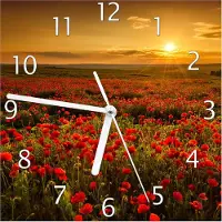 Wallario Design Wanduhr Mohnblumenwiese bei Sonnenuntergang am Abend aus Echtglas, Größe 20 x 20 cm