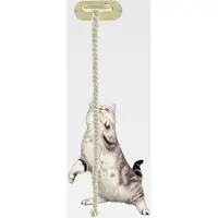 Markenlos Kletterseil für Katzen, Fenster-Saugnapf, 150 cm, interaktives Seil, für Zuhause, Schlafsaal, Bauernhaus, Wohnzimmer, Schlafzimmer, Balkon