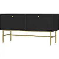 Masseno TV-Schrank TORINO 120,6 cm Fernsehschrank mit 2 Türen TV-Lowboard für Wohnzimmer Modern 120,6x40,8x62,5 cm Graphitfarben / Graphitfarben