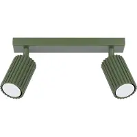 Licht-Erlebnisse Deckenspot Esszimmer Grün 2 flammig verstellbar GU10 30 cm Deckenstrahler Küche