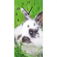 Wallario Design Wanduhr Süßer Hase im grünen Gras aus Echtglas, Größe 30 x 60 cm