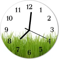 Tulup Glasuhr Wanduhr Küchenuhr Echt-Glas 30fi cm Gras grün