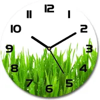 Tulup Wanduhr aus Glas 30fi Glasbild Glasuhr Gehärtetes Glas - schwarze-zeiger - Grass