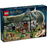 LEGO Harry Potter 76428 Hagrids Hütte: Ein unerwarteter Besuch
