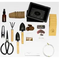 Markenlos Bonsai-Set Premium Pflanzfertig - Gärtnern und Dekorieren - Natürliche Bonsai- und Pflanzenpflege - Draht, Dünger, Werkzeuge, Rundschere, Kleine Bonsaischere - Geschenkidee