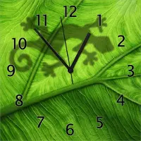 Wallario Design Wanduhr Gecko Schatten auf grünem Blatt - Umriss aus Echtglas, Größe 30 x 30 cm