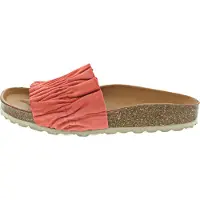 Verbenas R Velour 3301180268 (41/teja)