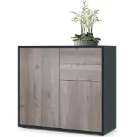 Vladon Sideboard Ben, Germany, Kommode mit 2 Türen und 2 Schubladen, Schwarz matt/Eiche Nordic (79 x 74 x 36 cm)