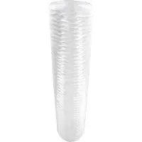 Pentek 20 Zoll Big Blue Wasserfilter Sediment 100µm WF100P20BB