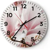 ARTTOR Wanduhr - Rund - Glasuhr - Zweig Magnolie Blume - 40x40cm - Schleichendes Uhrwerk - Lautlos - zum Aufhängen bereit - Dekoration Modern - Wanddekoration aus Glas - C4AR40x40-4538