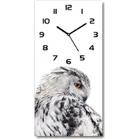 Tulup Wanduhr aus Glas – 30x60 cm - Glasbild - Glasuhr - Gehärtetes Glas -Weiße Eule