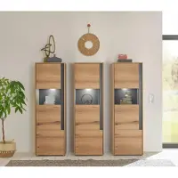 Empinio24 Wohnwand Eiche 190 cm 3-teilig Nr 17 mit Beleuchtung Boston