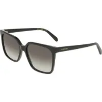Salvatore Ferragamo Ferragamo SF2102S Black 57/16/145 Damen Sonnenbrillen