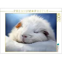 CALVENDO Puzzle Ein Motiv aus dem Kalender "Wenn sie schlafen" | 2000 Teile Lege-Größe 90x67cm Foto-Puzzle für glückliche Stunden