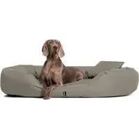 Tierlando Orthopädisches Hundebett SAMMY | Robuster Polyester | Dicke Umrandung - Größe: 170x110cm | Farbe: 34 Dunkelbeige