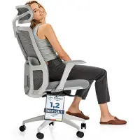 Desktronic Bürostuhl Ergonomisch SitOne, Verstellbarer, Grau, 4-Dimensional Armlehne, Integrierte 4-Wege-Lendenwirbelstütze