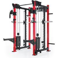 ATLETICA R8 Bradley Combat Lang | 2x95kg Weight Stack | Sportscar Red | Dualer Kabelzug mit 2x95kg seitlichen Gewichtsblöcken | Sehr stabil