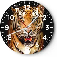 ARTTOR Wanduhr - Rund - Glasuhr - tiger tier - 30x30cm - Schleichendes Uhrwerk - Lautlos - zum Aufhängen bereit - Dekoration Modern - Wanddekoration aus Glas - C4AR30x30-4103