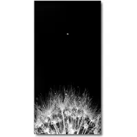 Tulup Wanduhr aus Glas – 30x60 cm - Glasbild - Glasuhr - Gehärtetes Glas -Löwenzahnsamen