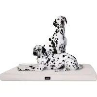 Tierlando Orthopädische Hundematratze ALICE VISCO Hundematte Hundebett S - XXL - Größe: 150x100cm | Farbe: 05 Creme