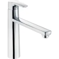 Heinrichschulte Einhebel-Spültischarmatur omega_2, schwenkbar