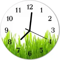 Tulup Glasuhr Wanduhr Küchenuhr Echt-Glas 30fi cm Gras grün