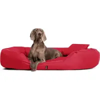 Tierlando Orthopädisches Hundebett SAMMY | Robuster Polyester | Dicke Umrandung - Größe: 140x105cm | Farbe: 04 Dunkelrot