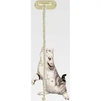 Markenlos Kletterbaum für Katzen, Fenster-Saugnapf-Aktivitätsspielzeug, 150 cm, Kletterspielzeug, für Zuhause, Wohnung, Bauernhaus, Wohnzimmer, Schlafzimmer, Balkon