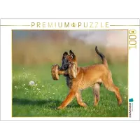 CALVENDO Puzzle Ein Motiv aus dem Kalender Traumhund Malinois | 1000 Teile Lege-Größe 64x48cm Foto-Puzzle für glückliche Stunden