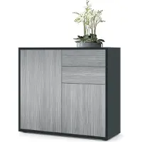 Vladon Sideboard Ben, Germany, Kommode mit 2 Türen und 2 Schubladen, Schwarz matt/Avola-Anthrazit (79 x 74 x 36 cm)