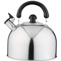 Eva Wasserkocher mit Pfeife Edelstahl Induktion 4,2l