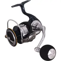Daiwa Rolle Certate LT Modellgröße 5000D-XH