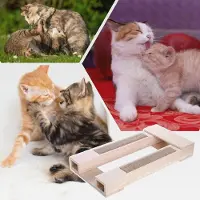 Markenlos Sitzhocker für Katzen, Bruthocker für Katzen, Stuhl aus Holz für Kätzchen mit kurzen Beinen, Unterhaltung zum Kratzen, Spielzeug im Spielzimmer für Tiere