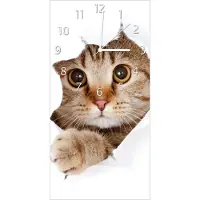 Wallario Design Wanduhr Katze mit Blick nach vorn aus Echtglas, Größe 30 x 60 cm