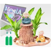 Markenlos Lebende brasilianische Holzpflanze mit 2 Mönch-Statuen, hydroponischer Topfpflanze, Tischornamenten für Cafés, Wohnzimmer und Außenbereiche