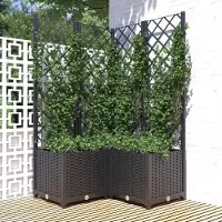 Prolenta Maison Exclusive - Garten Schwarz 80 x 80 x 136 cm