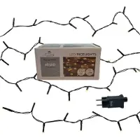 Coen Bakker Lichterkette aussen schwarz 1,95m 40 LED Dimmer Timer warmweiß