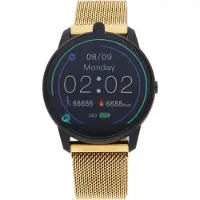 Storm Smartwatch Damen SM1 Smart Mesh Gold 47508/GD